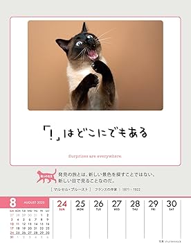 2025年 パチンコカレンダー卓上4個、壁掛け1個 2025年 パチンコカレンダー卓上4個、壁掛け1個 Amazon.co.jp